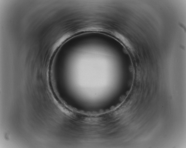 X0000096671237200802051215