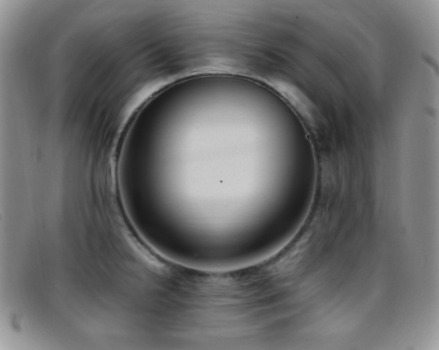 X0000096671238200802051215