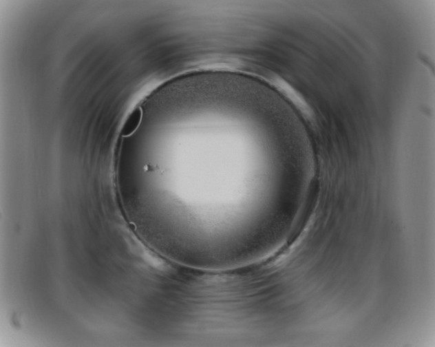 X0000096671240200802051215