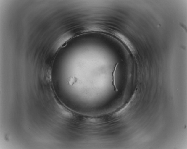 X0000096671241200802051215