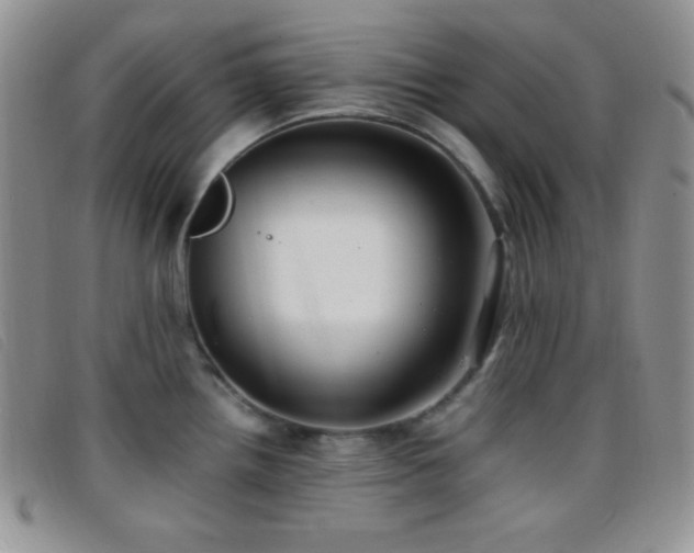 X0000096671242200802051215