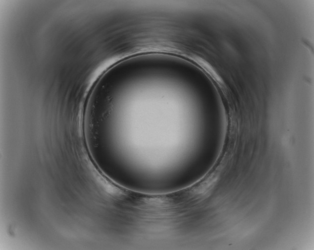 X0000096671246200802051215