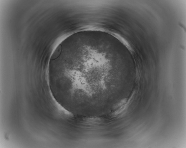 X0000096671247200802051215