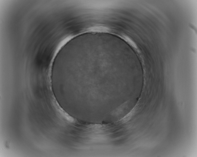 X0000096671248200802051215