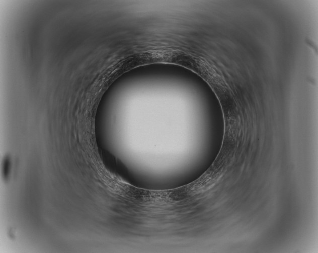 X0000096671249200802051215