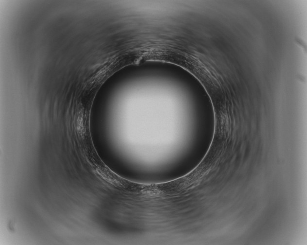 X0000096671250200802051215