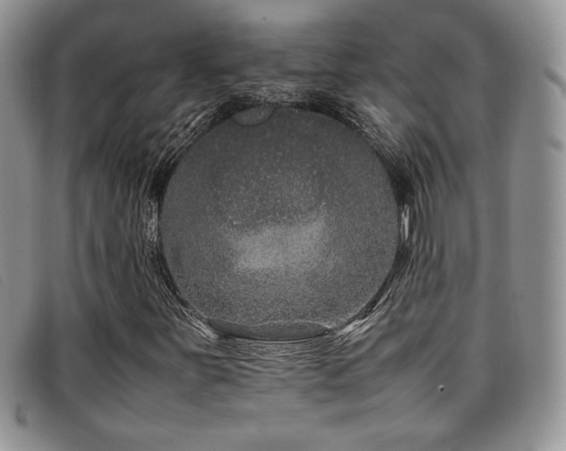 X0000096671251200802051215