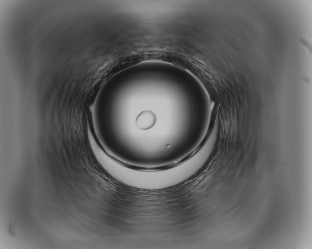X0000096671252200802051215