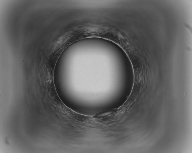 X0000096671253200802051215
