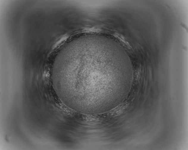 X0000096671254200802051215