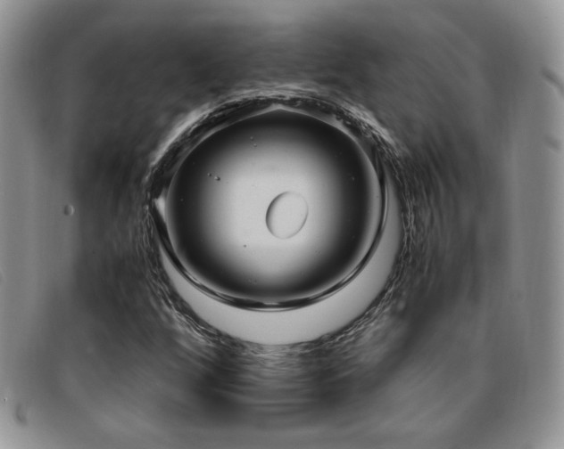 X0000096671256200802051215