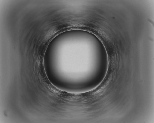 X0000096671257200802051215