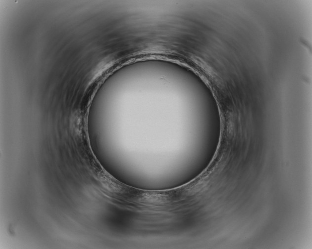 X0000096671258200802051215