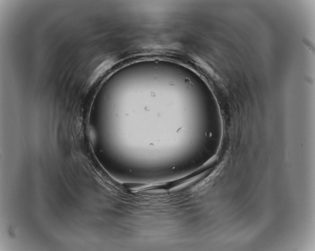 X0000096671259200802051214