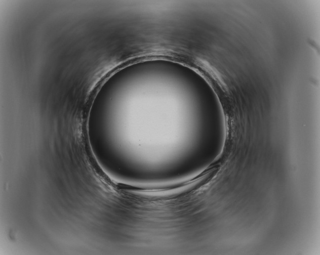 X0000096671260200802051214