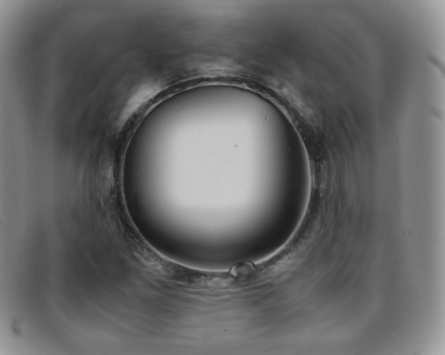 X0000096671261200802051214