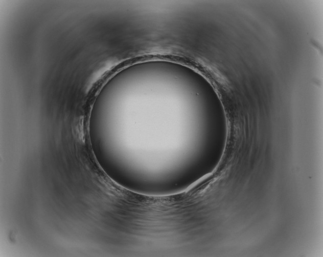 X0000096671262200802051214