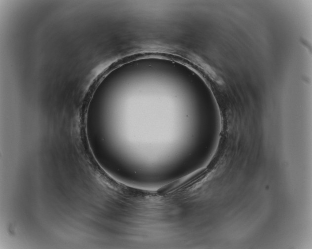 X0000096671264200802051214