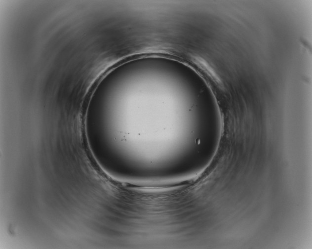 X0000096671268200802051214