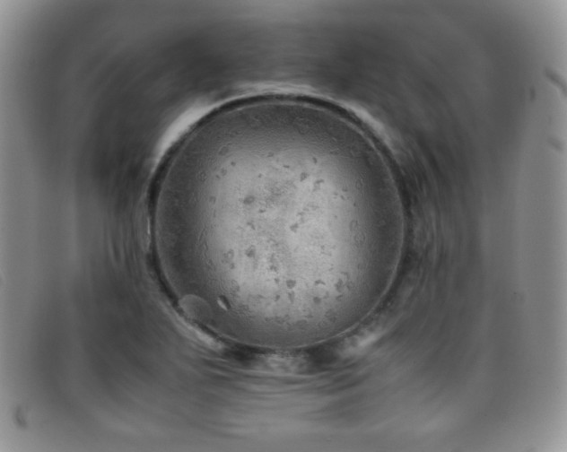 X0000096671271200802051214