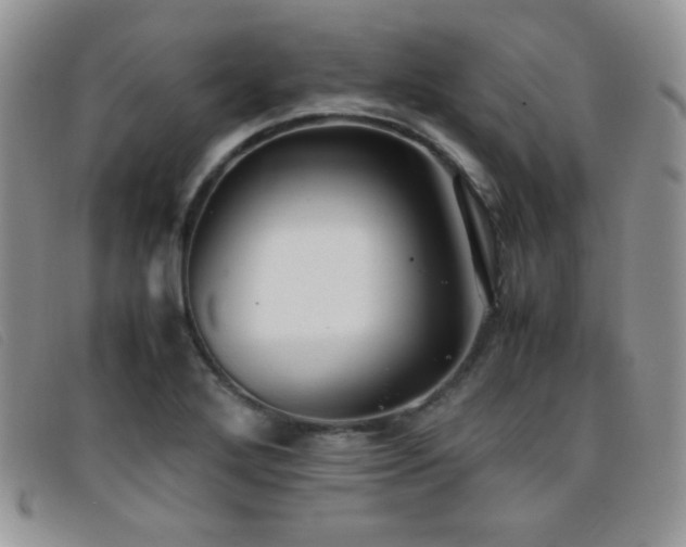 X0000096671272200802051214