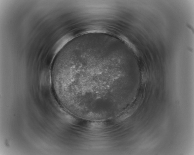 X0000096671274200802051214
