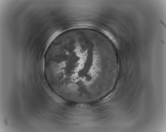 X0000096671275200802051214