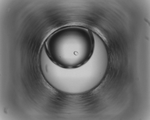 X0000096671276200802051214