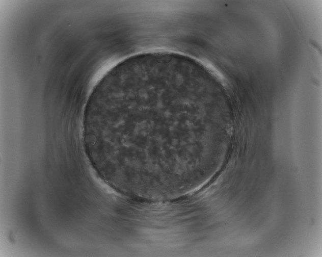 X0000096671279200802051214
