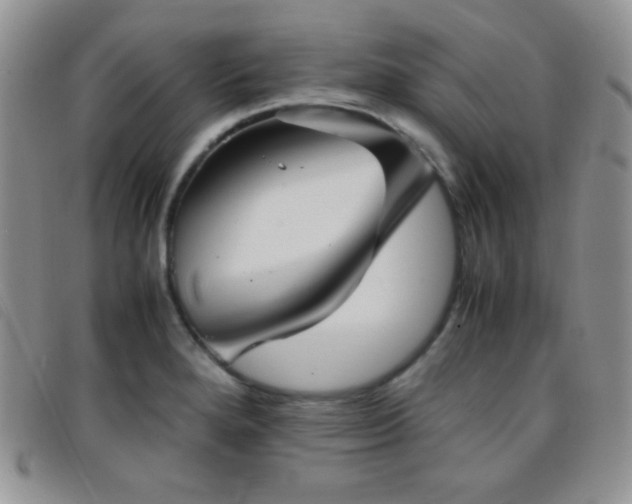 X0000096671280200802051214