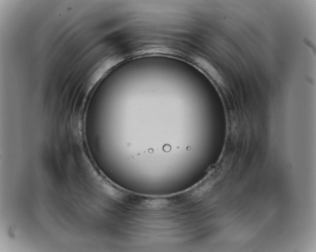 X0000096671282200802051214