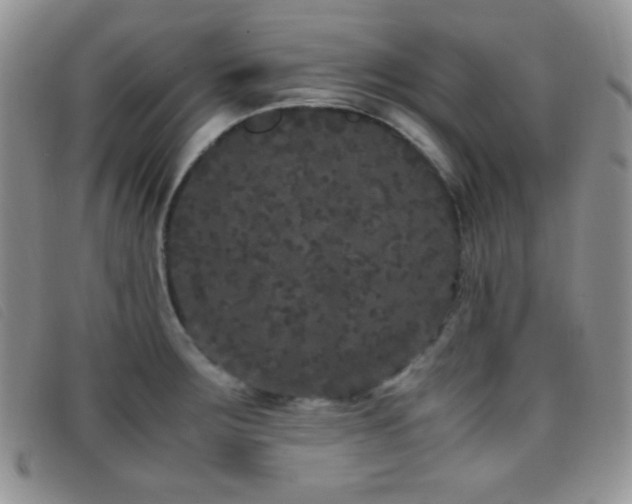 X0000096671283200802051214