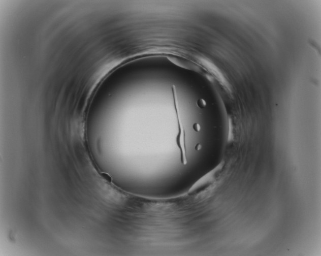 X0000096671284200802051214