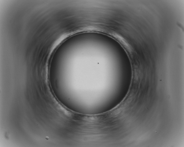 X0000096671286200802051214