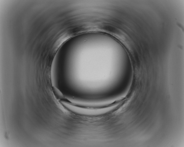 X0000096671289200802051214