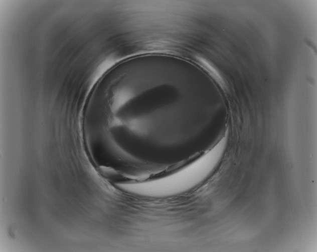 X0000096671291200802051214
