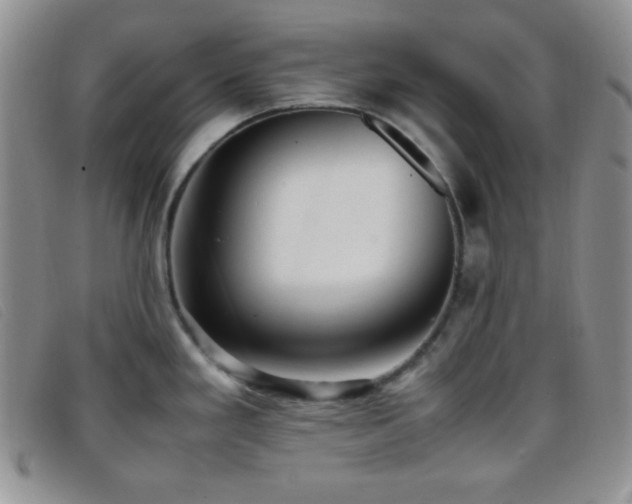 X0000096671293200802051214