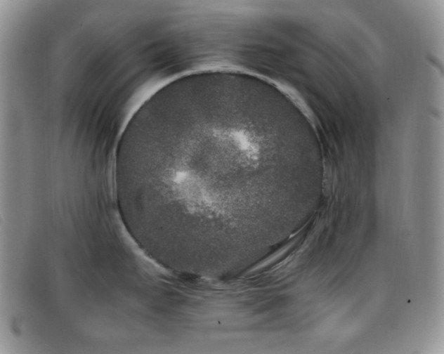 X0000096671295200802051214