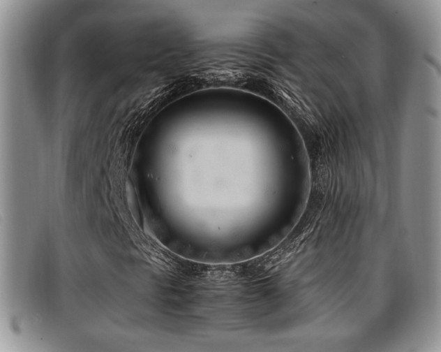 X0000096671297200802051213