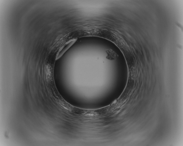 X0000096671298200802051213