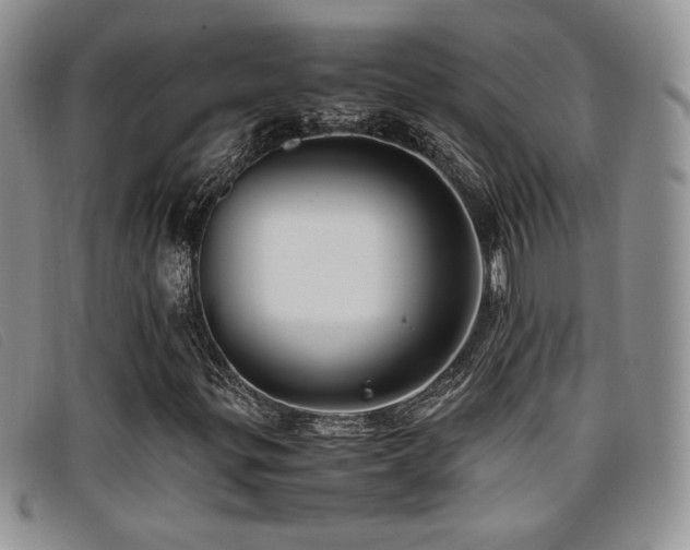 X0000096671299200802051213