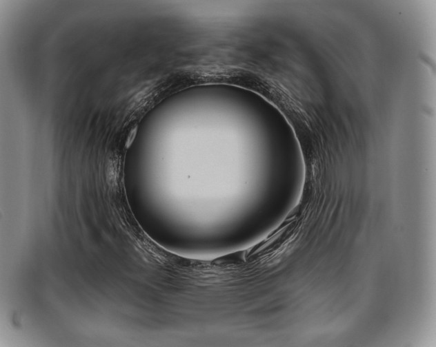 X0000096671300200802051213