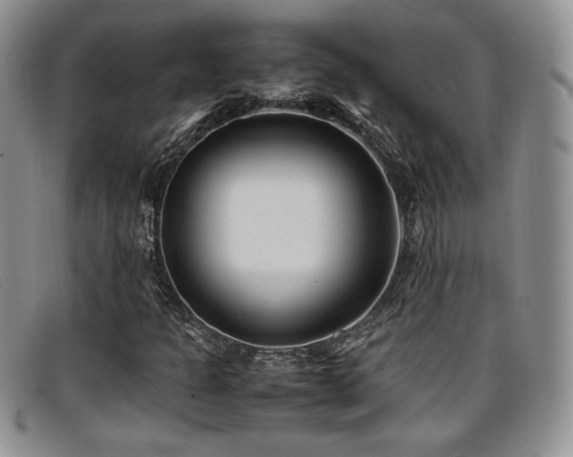 X0000096671301200802051213
