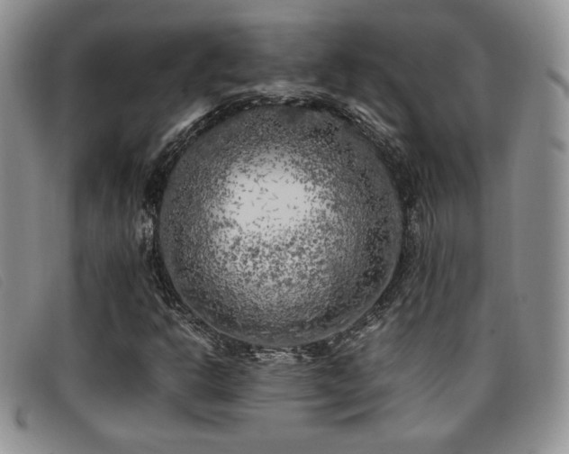 X0000096671302200802051213