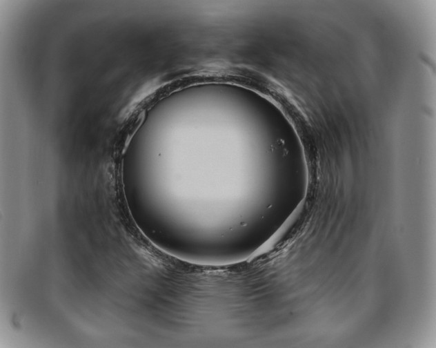 X0000096671304200802051213
