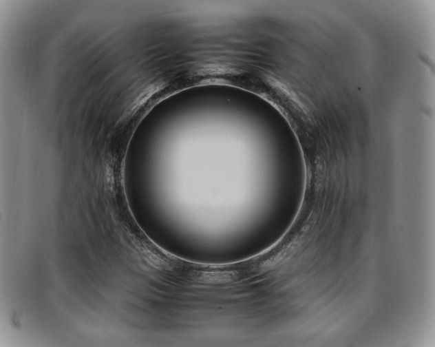 X0000096671305200802051213