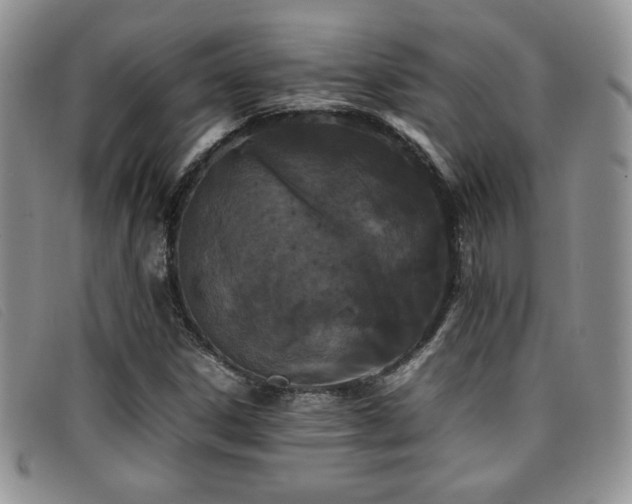 X0000096671306200802051213