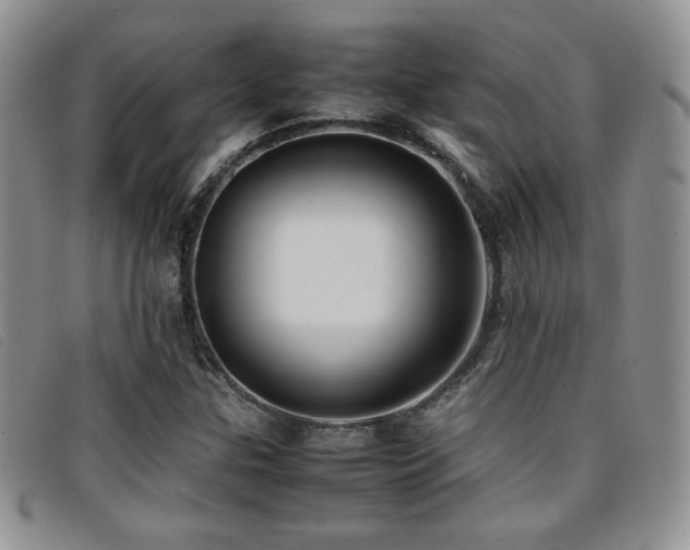 X0000096671307200802051213