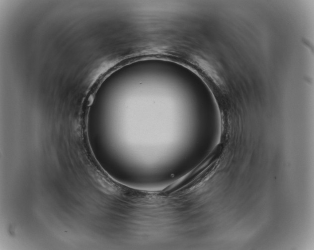 X0000096671308200802051213
