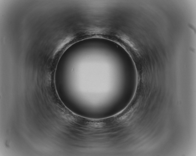 X0000096671309200802051213